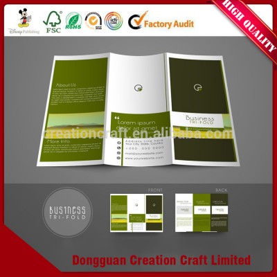 Factory direct sale CMYK or pantone color A4 /A5 brochure / pamphlet supplier